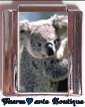 « Photo charm » - Thème : Animaux