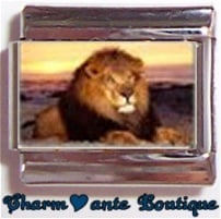 « Photo charm » - Thème : Animaux