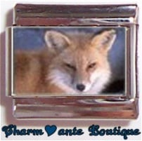 « Photo charm » - Thème : Animaux