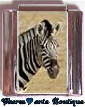 « Photo charm » - Thème : Animaux