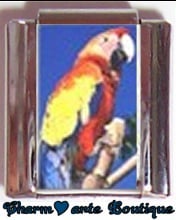 « Photo charm » - Thème : Oiseaux