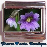 « Photo charm » - Fleurs mauves