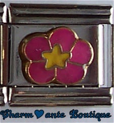 Fleur rose avec centre jaune