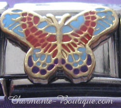 Papillon orange et bleu