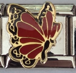 Pierre de naissance - Papillon - Janvier